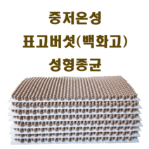 무농약표고버섯성형종균607구