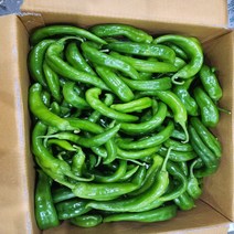 오이맛고추(상)3kg 1박스 자연대로팜웨이, 3kg(상)