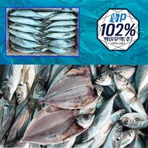 (새벽경매)국내자연산 일품 전갱이 10kg, 소(55-70)