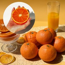 제주 명품 카라향 고당도 가정용 선물용 2kg 3kg 5kg 10kg, 3kg 7-18과 선물가방포함, 선물용 카라향