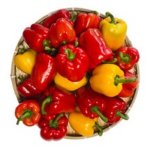 어글리베지 못난이 파프리카 혼합 2kg, 1개