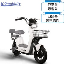 [완조립퀵] 레이윙 디스커버리 프레시 전동스쿠터 S10 48V 750W 16Ah 부터, 블랙, 32Ah