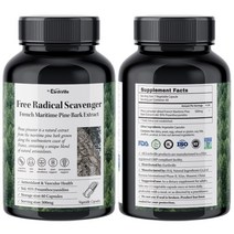 어스빌 프랑스해안송 소나무껍질 추출물 500mg 프로안토시아니딘 폴리페놀 베지캡슐, 60정, 1개