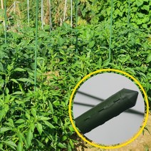 텃밭 모종 식물고정 굵은 철심 식물 지지대 90cm 3P