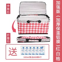 공원바구니 여름 간식 산책 경량 식기 한강공원 피크닉 야외 휴대용 바스켓, 레드