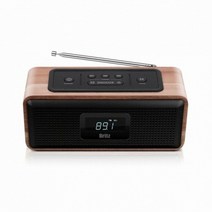 Britz 브리츠인터내셔널 BA-DL1, 1