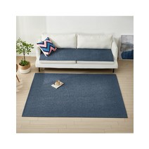 프리미엄 셔닐 카페트 러그 인테리어 거실카페트 대형 카펫 200x270