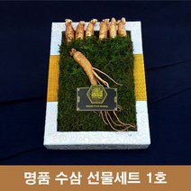 6년근 수삼 선물세트 선물용 고려 인삼 수삼 1채 55g 생인삼 추석 명절 선물