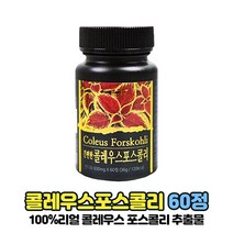 콜레우스 포스콜리 추출물 분말 가루 정 알약 타입 100% 코레우스 콜레우스포스 콜리우스포스콜린, 60정 x 1개