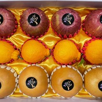 명품 혼합과일선물세트 (청송부사사과 나주신고배 제주한라봉) 프리미엄 명절과일선물 사과배 사과배한라봉, 사과6+배6 혼합과일세트