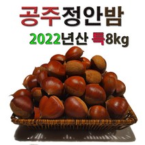 특대8kg 정안알밤 공주밤 정안밤 햇밤 알밤 밤 생율 국내산 옥광 대보 삼조생