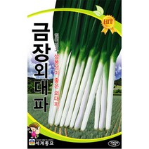 금장외대 파씨앗 파 씨앗 ( onion seed 2000알 )