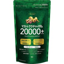 파인베이스 마카 크라차이담 20000 영양제 90정 30일분, 1