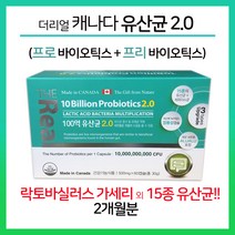 The Real 캐나다 프리바이오틱스 프로바이오틱스 유산균 캡슐 유익균증식 락토바실러스, 500mg, 60캡슐
