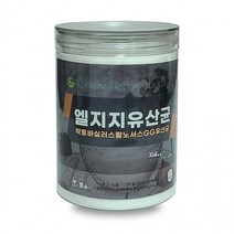 엘지지유산균 락토바실러스 랍노서스 lgg 유산균 350g, 상세페이지 참조, 상세페이지 참조