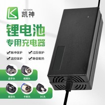 전원 전동 지게차 노인차 이삿짐 덮개 자동차배터리충전기, T04-48V 족한 2A형 충전구는 메모해