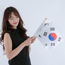 일체형 수기 태극기 10개입 국경일 응원용