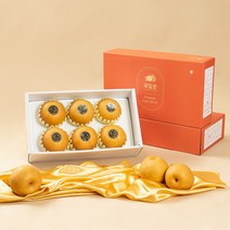 과일꾼 산지직송 나주배 ( 가정용 / 과일선물세트), 1box, 선물용 5kg 6과내