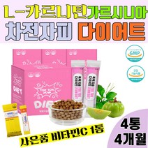L-카르니틴 엘 카르니틴 다이어트보조제 엘카르티닌 체지방감소 가르시니아 차전자피