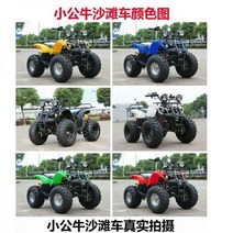 4륜바이크 사륜 4륜 오토바이 전 지형 ATV 크기 황소 자동 가솔린 성인 산 4 륜 오프로드 전기 수냉식