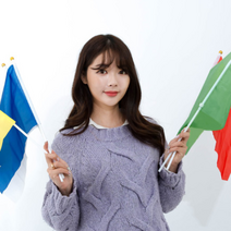 체육대회 응원 깃발 파티 용품 운동회, 화이트