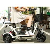 3륜바이크 세바퀴 전동차 세발 다인승 3발 이륜차, 단일 드라이브 리튬 배터리 15A 60km