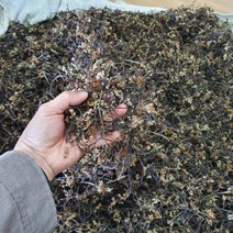 제주고사리 보름나물 자연산 햇고사리 건고사리 햇 건 말린 고사리300g 600g, 제주 햇건고사리600g, 1개