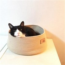 힐링타임 고양이 코튼 바스켓 NH-340, 베이지