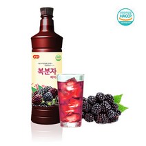 복분자 광야식품 베이스 970ml 신선한 비타민C, 단품, 단품
