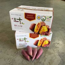 토울고구마 꿀고구마 베니하루까 고구마, 토울3kg(왕), 1개