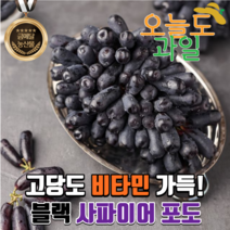 [오늘도과일] 초고당도 블랙사파이어포도 항공수입 가지포도 마녀포도 크림슨포도 900g, 2팩