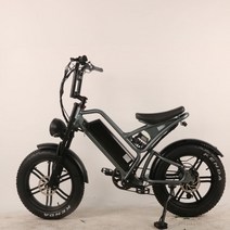 가성비전기자전거 수출 전기 자전거 20 인치 해변 눈 리튬 공장 직접 오프로드 오토바이 750w, [01] 48v20ah, [01] 회색