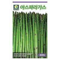 밀크티쓸 흰무니 엉겅퀴 2g - 씨 씨앗 밀크씨슬 엉겅퀴씨앗 나물 나물씨앗 채소씨 채소씨앗 흰무니엉겅퀴, 07_다농_아스파라거스(200립)