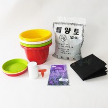 라벤더키우기 7종, 단품