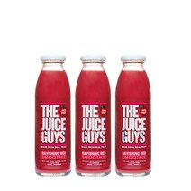 더주스가이즈 350ml, 03.레비싱레드*3개