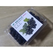 지리산 블랙커런트생과(냉동배송) 700g 2팩