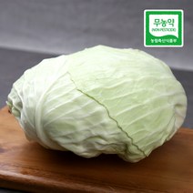 친환경 무농약 양배추 5kg, 1개