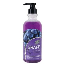 포도 향기좋은 바디워시 대용량 대형 750ml x 2개 바디 클렌져 클렌저 달달한향 여성 남성 여자 남자 오래가는 향 향지속 땀냄새 몸냄새 사춘기 청소년 여학생 남학생, 포도향 750ml x 2