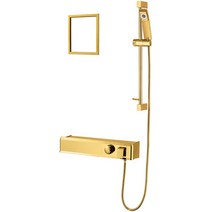다인 DB911SET 아이언 선반형 샤워수전세트 리얼골드, 신박장터쿠팡 1