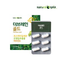 더 브레인 골드 포스파티딜세린 은행잎 징코 비타민E 노화 인지력 개선 부모님 할머니 건강기능식품, 60캡슐 X 1박스