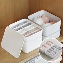 리빙패밀리 속옷 양말 정리함 속옷서랍장 서랍장칸막이 보관함 브래지어 정리, 화이트, 5칸형
