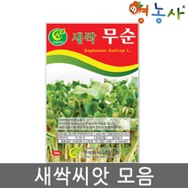 새싹 씨앗 모음 수경재배 식물키우기 홈가드닝, 새싹알팔파