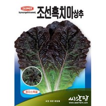 조선 흑치마 상추씨앗 (8000립), 1개