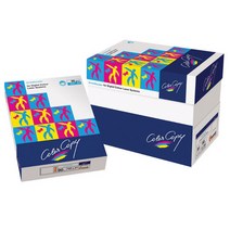 [107165]컬러레이저용지A4 (100g/500매/NEUSIEDLER), 상세설명참조, 상세설명참조, 상세 설명 참조, 500매, 500매