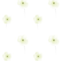 시트나라 포인트시트지(고광택), 블루밍그린 (HGH-017)