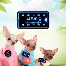 조아애드 LED강아지 이름표 사각숏, 블루, 애완204