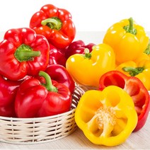 [이베따] 신선한 국내산 파프리카 1.5kg 3kg 5kg, 5kg