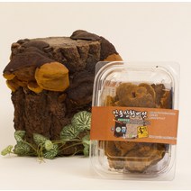 송일품약용버섯 상황버섯, 50g, 1개
