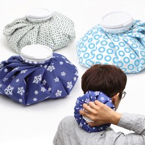 DH쇼핑 찜질 얼음 주머니, 블루스노우_6인치, 1개
