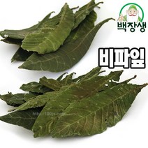 백장생 비파엽 통비파엽 (비파잎 통엽 비파차 비파잎차, 1개, 200g